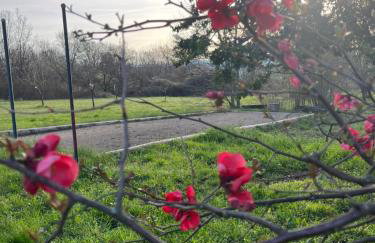 Gite Cosmos - Foto 13