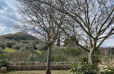 Le Case Di S. Andrea - Foto 14