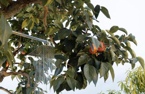 Casolare Lodedo - Foto 71