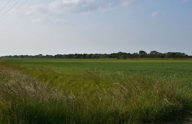 2-bed 18th Century Barn - Sleeps 6 - Pet Friendly - Foto 22