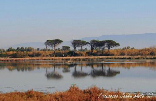 Sa Stella E Monti - Foto 38