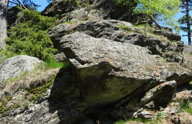 Ferienappartement Gutshof - Photo 20