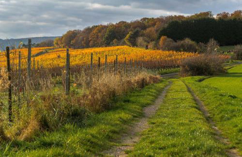 Ahrterrassen Penthouse - Foto 15