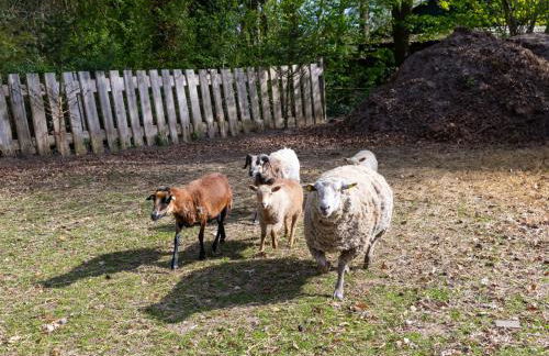 Holiday Home Landliebe by Interhome - Foto 35