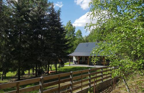 Agroturystyka PLENER - Foto 18