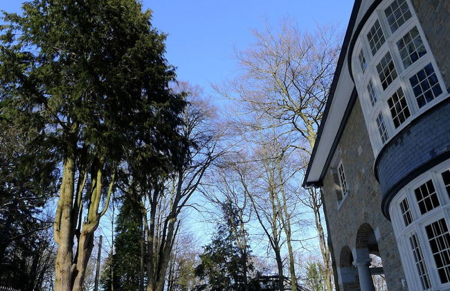 Spacious Spa Villa With Garden - Photo 31