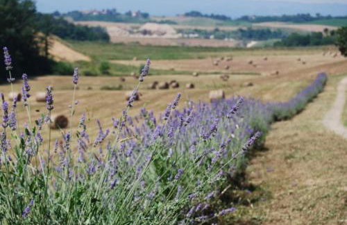 Salceta, a Tuscany Country House - Photo 8