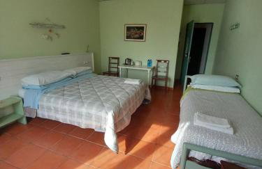 Agriturismo Boschi - Foto 65