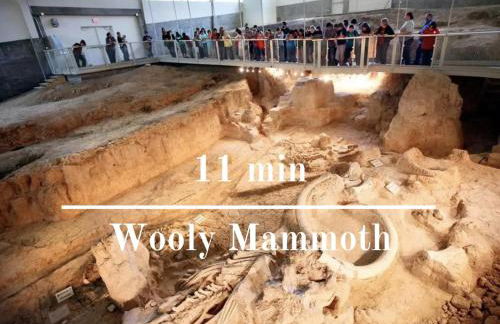 295 Steps To Silos Pool Heated 3 Min Baylor - Foto 48