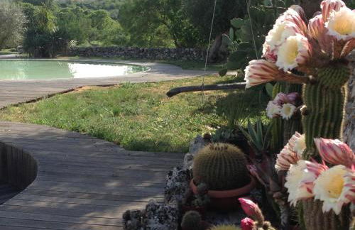 Masseria Trulli&Stelle B&B - Foto 49