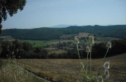 Agriturismo La Scarpaia - Foto 74