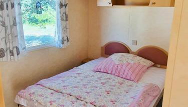 Holenderki na Zielonych Wzgórzach, Łowyń - Foto 5