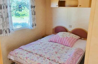 Holenderki na Zielonych Wzgórzach, Łowyń - Foto 5