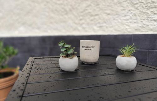 Ferienwohnung Bamberger mit Wintergarten Schmalkalden - Foto 43