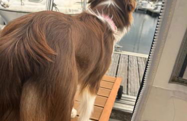 Le duplex des Marinas, Dog friendly & parking inclus - Photo 12