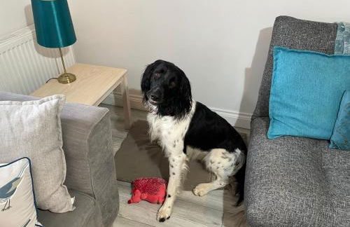 Fosfelle Cottages - Foto 84