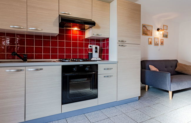 La salicorne - Foto 6