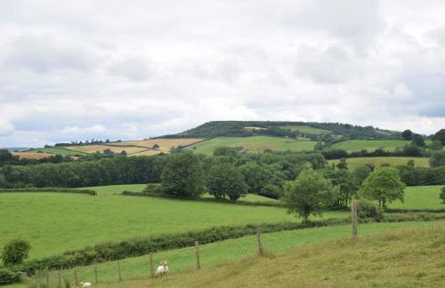 1 Bed in Stoke Abbott 50885 - Photo 18