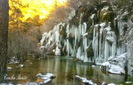 Fuente Del Arca - Foto 28