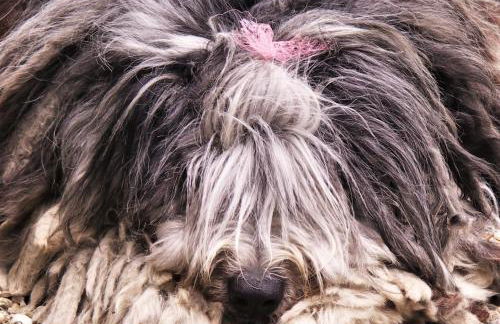 La Traversina - Agriturismo di Charme - Foto 29