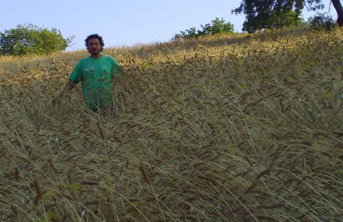 Agriturismo San Pietro - Foto 35