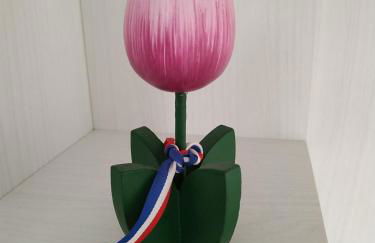 PINK & GREEN APARTMENTS - RHO FIERA MILANO MIND - Andrea - Foto 8