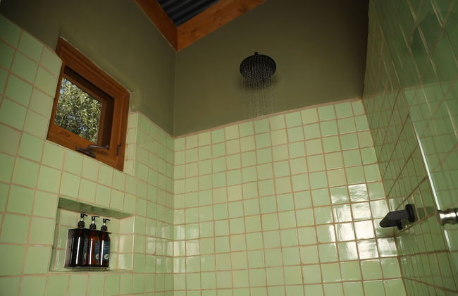 Alma Liebre Viñedos del Valle - Foto 38