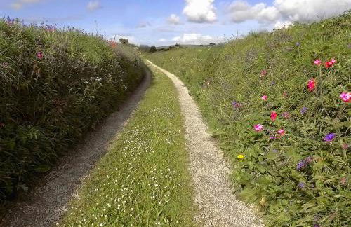 Tregadjack Farmhouse - Foto 29