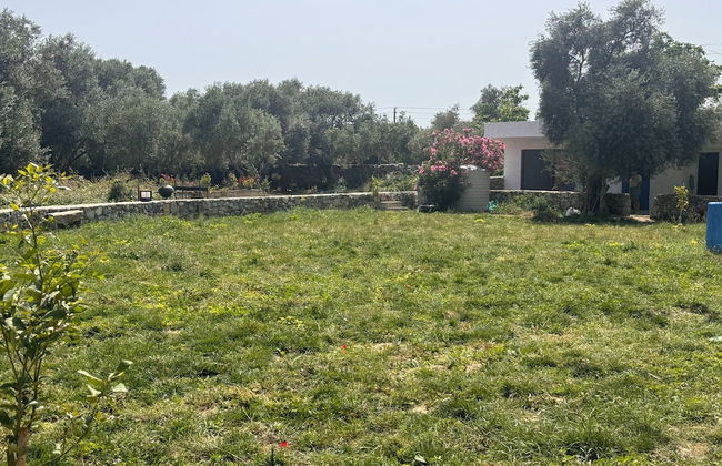 Anemos Stone Houses - Foto 65