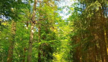 Haus Astenblick in Winterberg für bis zu 35 Personen für Wanderveranstaltungen und Familienfeiern - Foto 2
