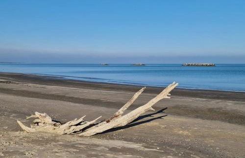 La Dolce Vita - Apartment with shared pool and large terrace - Foto 60