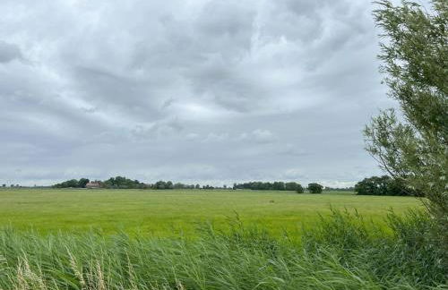 Grommy`s 2 Eckwarden - Foto 23