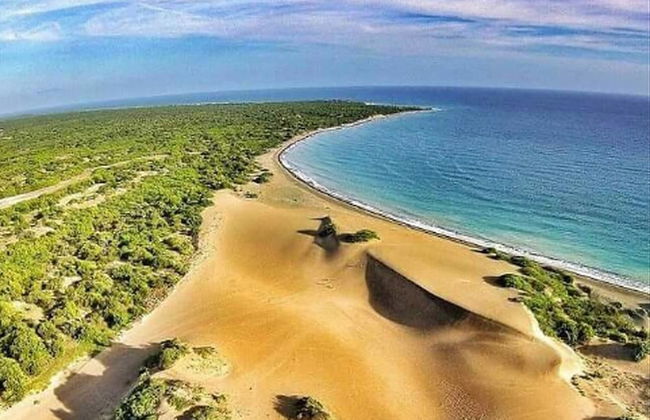 Villa Los Almendros - 2 Private Pools & Tennis & Pickle Ball - Photo 23