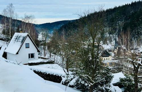 Urige Berghütte mit Kamin und Sauna im Erzgebirge nahe Schwarzwassertal - Foto 1