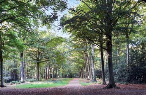 The Gig House - Foto 24