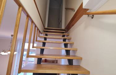 Villa Jure - Apartment Vlasta - Photo 14