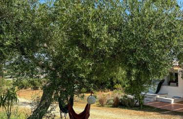 bungalow entre mer et montagne - Foto 53