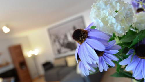 Haus Daniela Superior - Foto 3