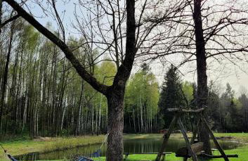 Agroturystyka u Doroty - Foto 8