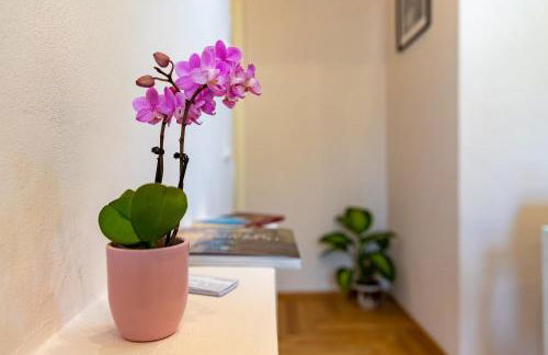 La casa di Emmy - Foto 14