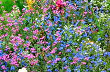 Żurawisko - Domki wśród natury - Foto 80