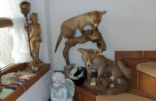 Holiday Apartment Schupp - Foto 47