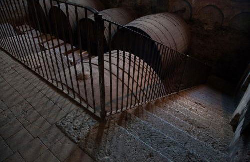 Feudo Vagliasindi -Wine Experience- - Foto 57