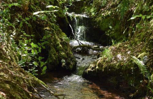 Pumping Station Holidays - Foto 57