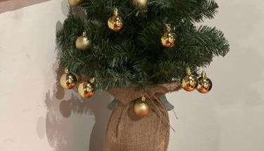 Toscana, La Terra Del Vino Sharon House per Degustare il Chianti! - Foto 3