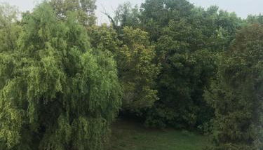 Cà Nicola Cortemaggiore città d’arte - Foto 4