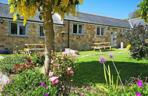 Willow - 31287 - Photo 14