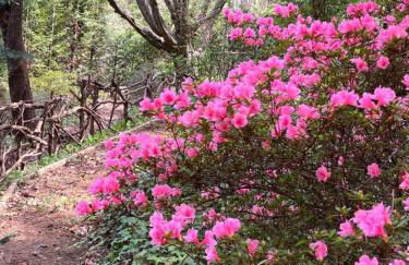 The Crows Nest - Apartment in Asheville near the Smoky Mountains! - Foto 39