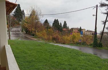 Golden Hearth Mountain Chalet - Photo 1