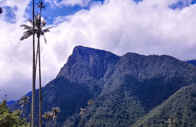 Cerro Morrogacho Reserve Tour - Photo 1